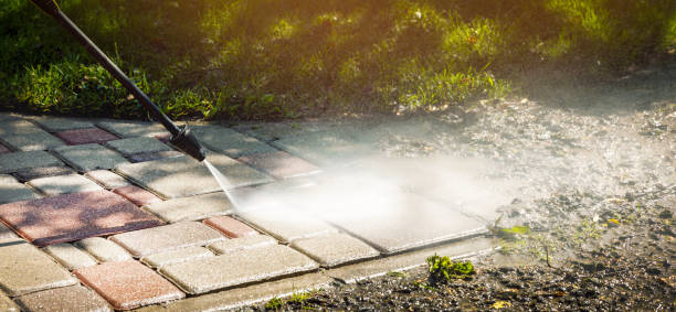Best Sidewalk and Walkway Cleaning  in La Grange, TX
